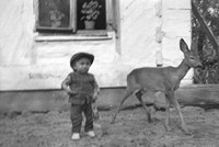 1960. Sarna i chłopiec