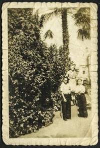 Lata 50. XX w. Dwóch mężczyzn i kobieta pod palmą.