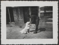 1934. Lubaczów. Jan Ruebenbauer z psem na podwórku.